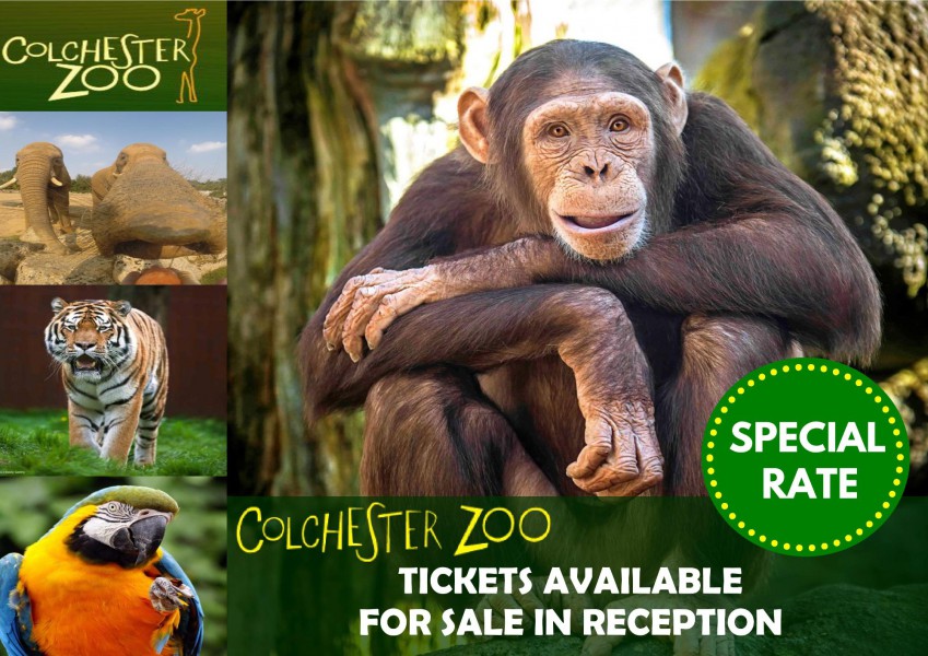 Colchester Zoo tickets Essex attractions Waldegraves