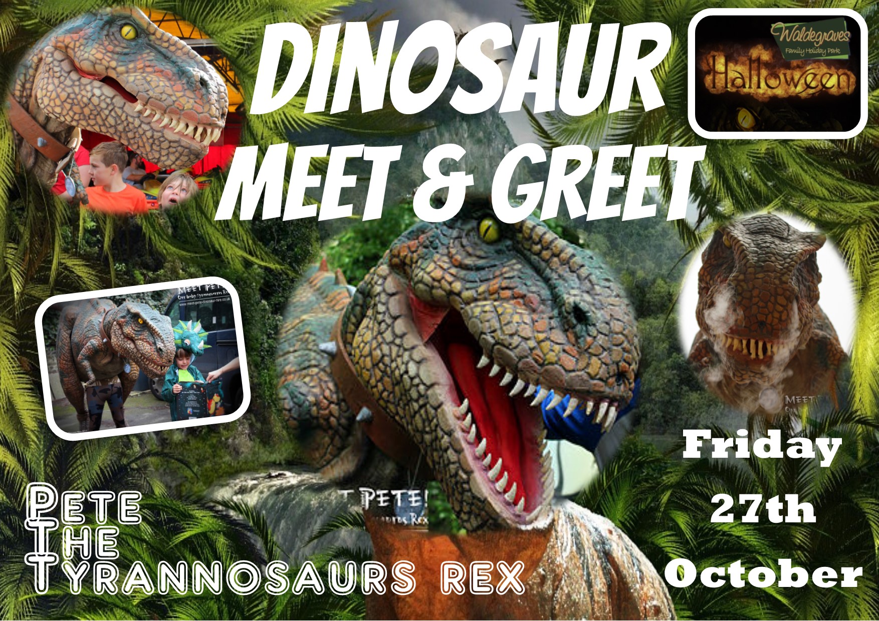 t rex meet - Waldegraves Holiday Park