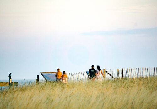 Things to Do on Mersea Island