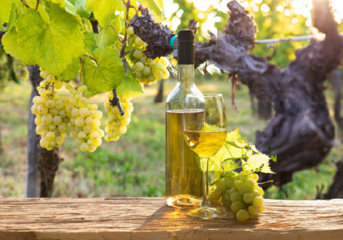 Mersea Island Vineyard