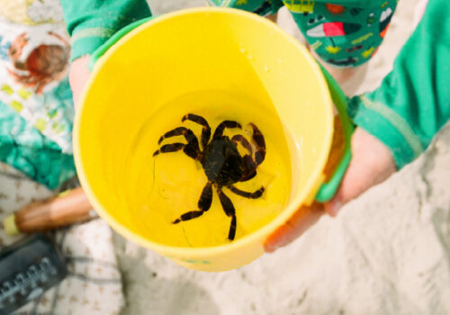 Crabbing