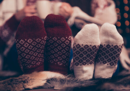 Winter Breaks